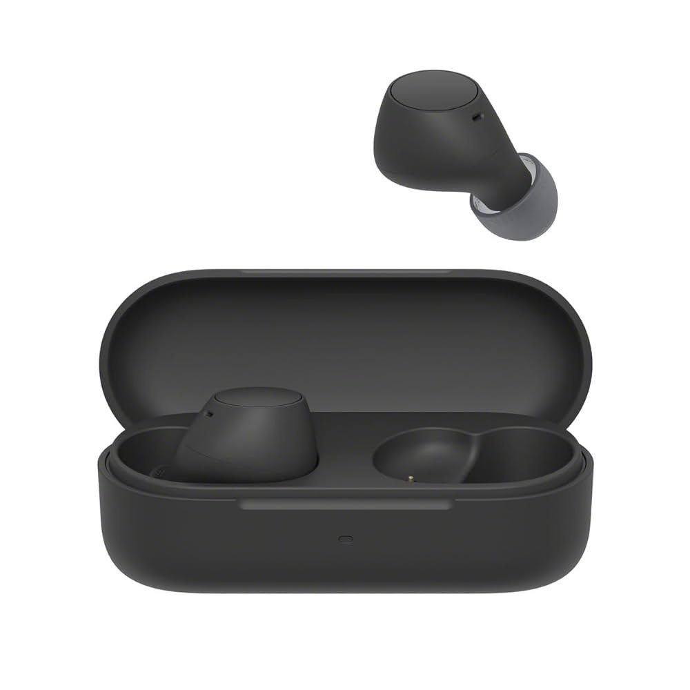 Sony Earbuds WFC510n